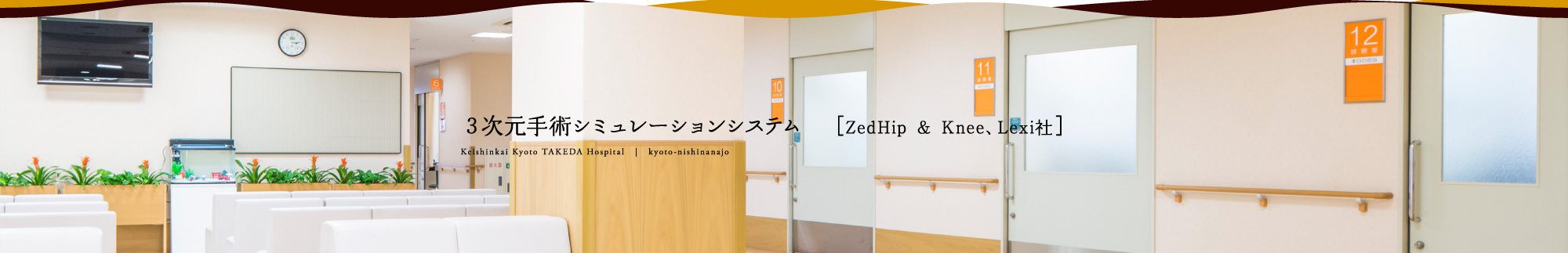 3次元手術シミュレーションシステム　［ZedHip & Knee、Lexi社］